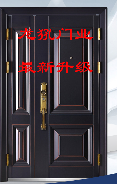 龙犼LH-01型聚氨酯实心填充家用防盗门小米入户门子母门仿铜门阳台楼道门